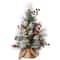 2ft. Pre-Lit Snowy Glacier Pine Artificial Christmas Tree, Warm White LED Lights